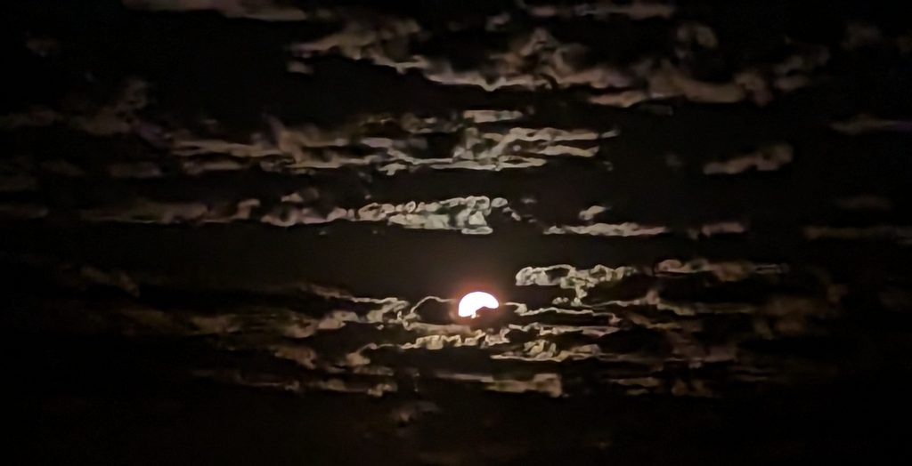 Protected: Scared shitless