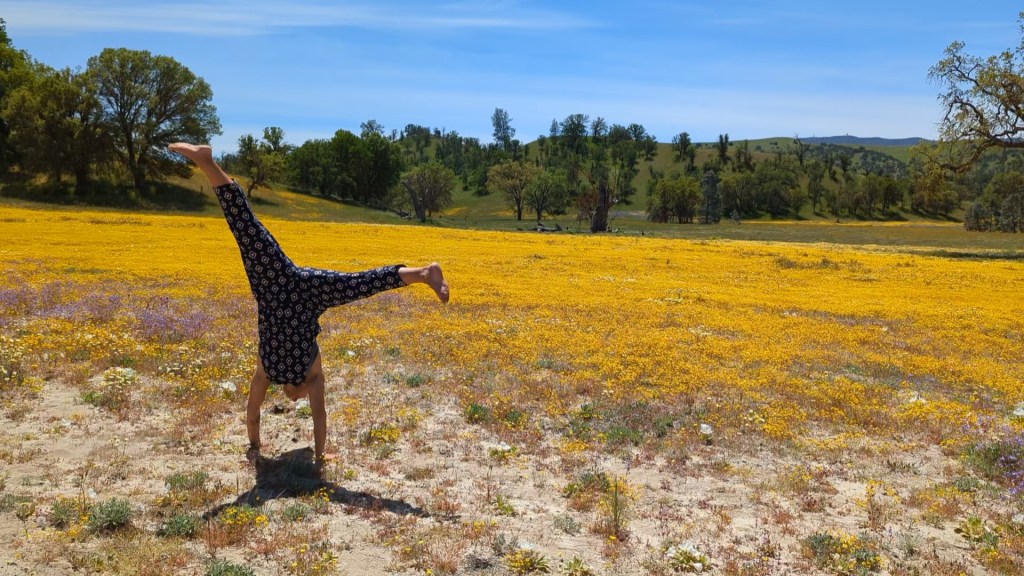 Protected: A calculated trustfall of&nbsp;faith