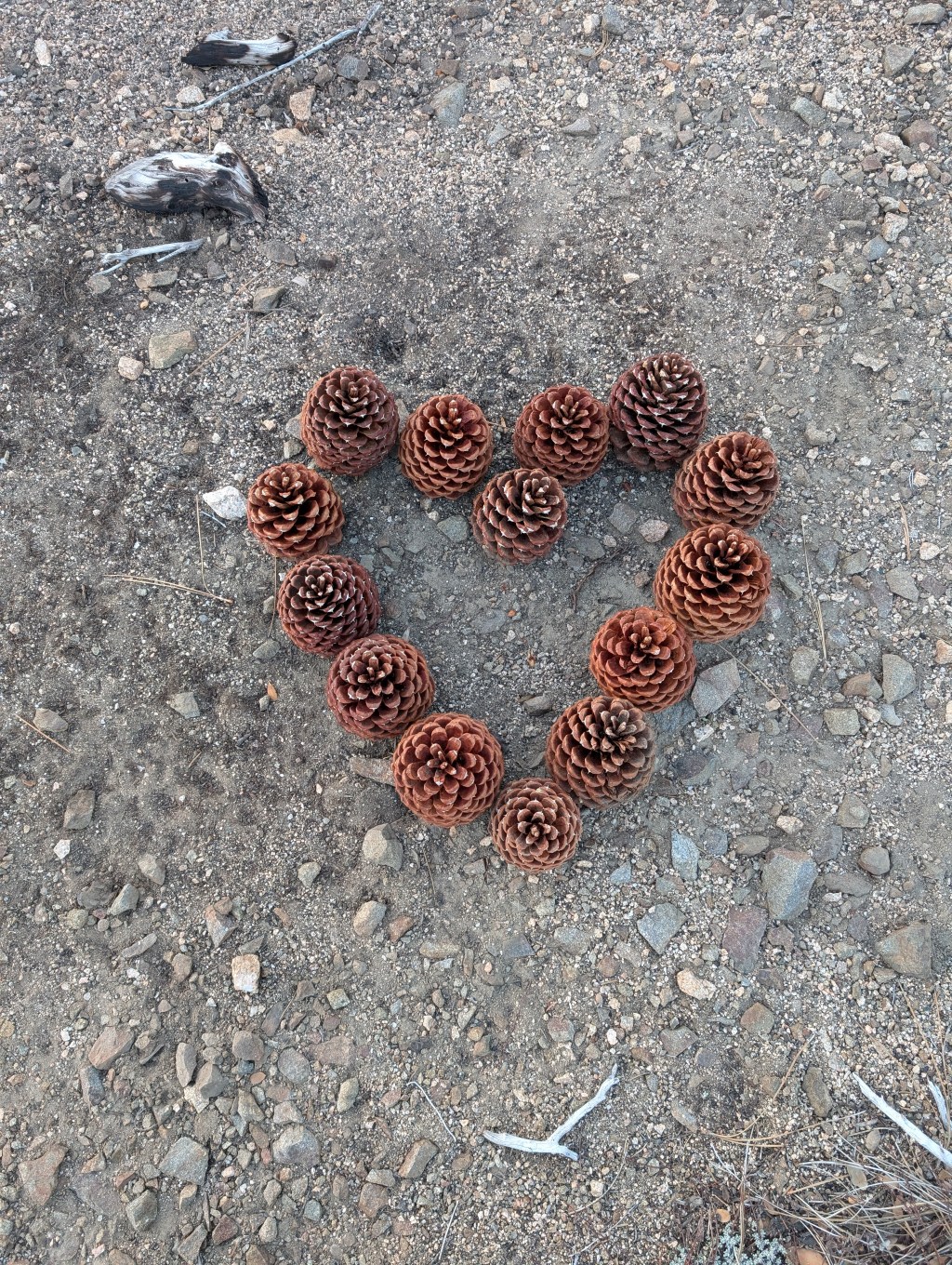 Protected: Committed