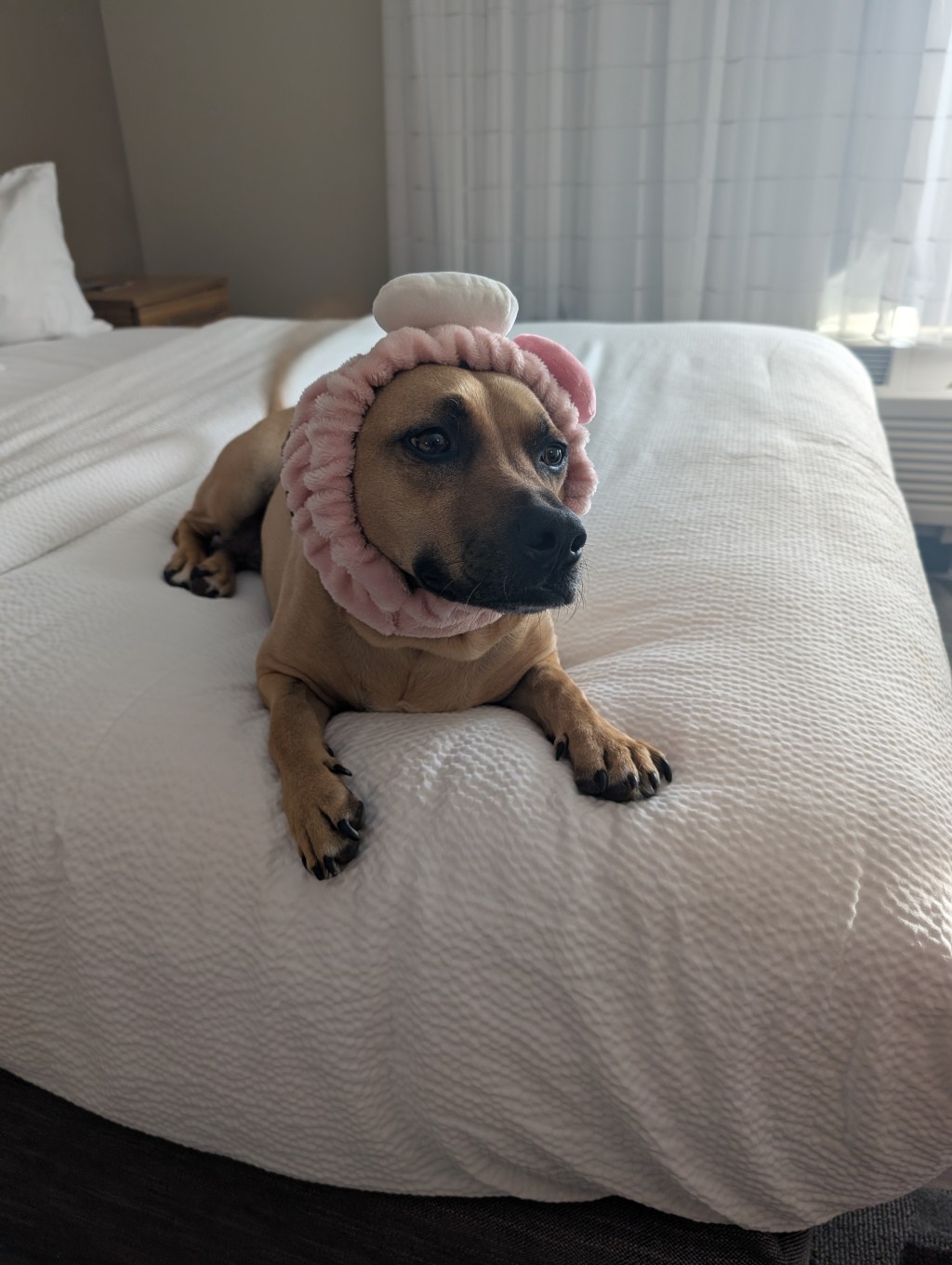 Protected: Are you my&nbsp;desert?