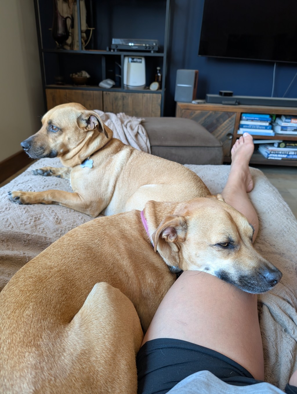 Protected: Coming home