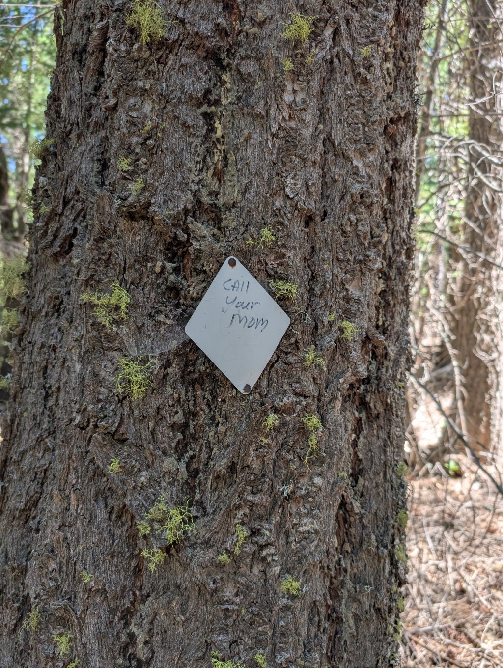 Protected: Addendum: mid-trail/life&nbsp;crisis